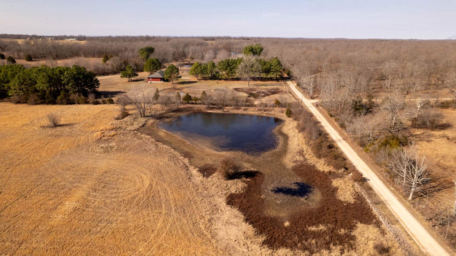 81 Acres in the Arkansas Ozarks