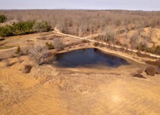 81 Acres in the Arkansas Ozarks