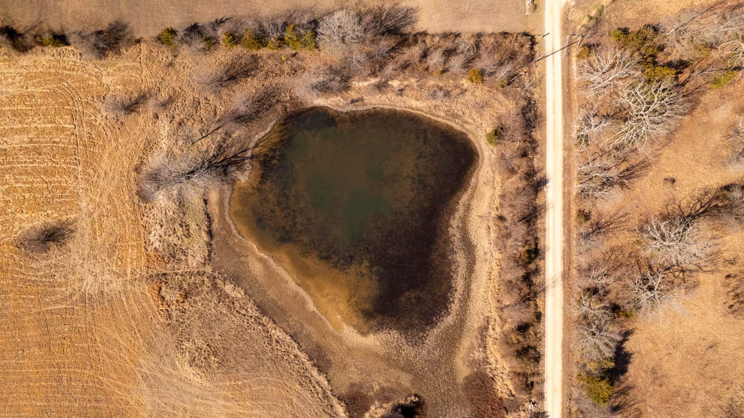 81 Acres in the Arkansas Ozarks