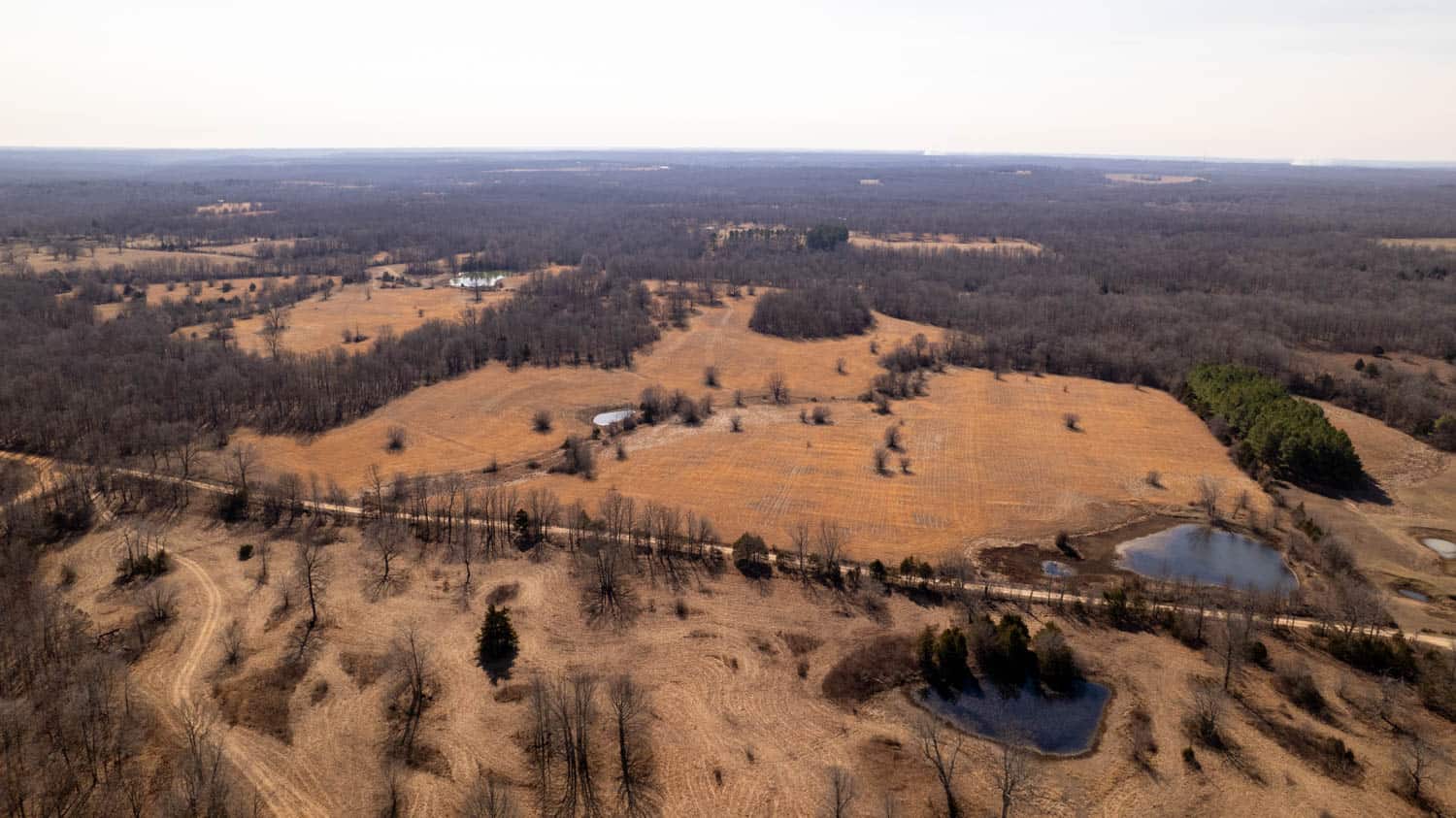 Prime Hunting Acreage in the Arkansas Ozarks