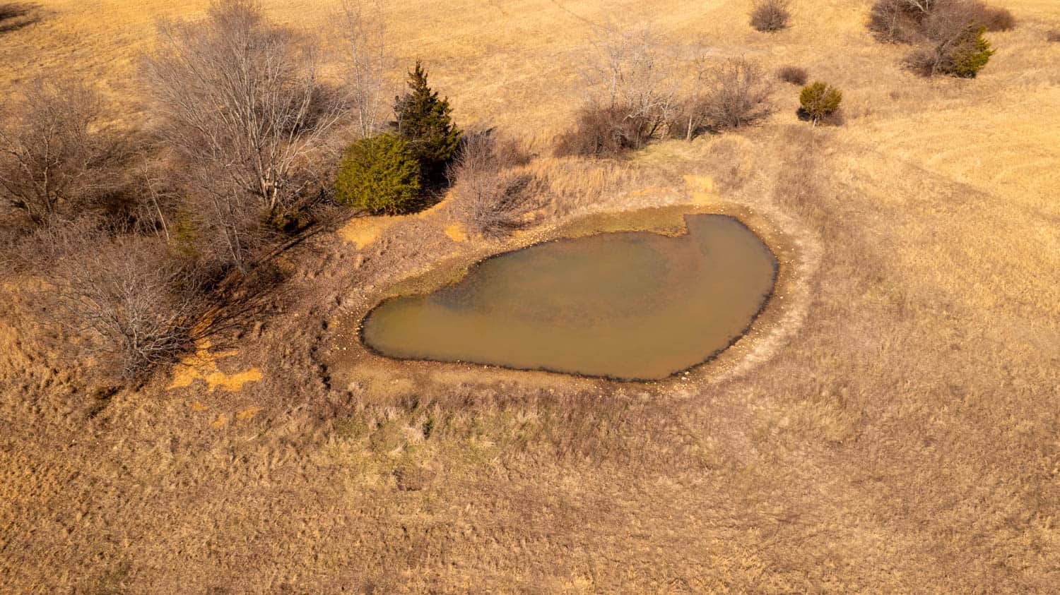 81 Acres in the Arkansas Ozarks