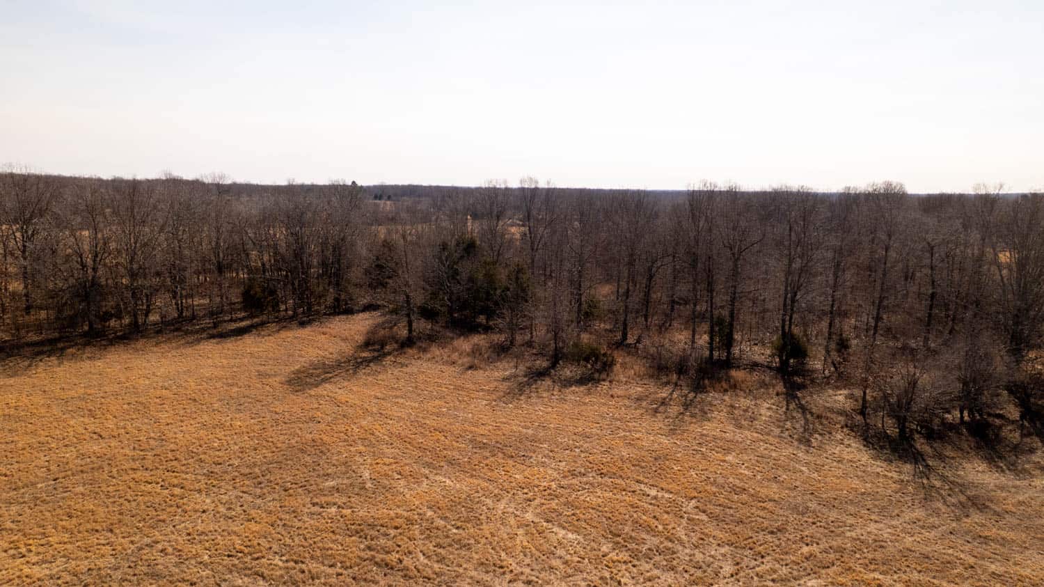 Prime Hunting Acreage in the Arkansas Ozarks