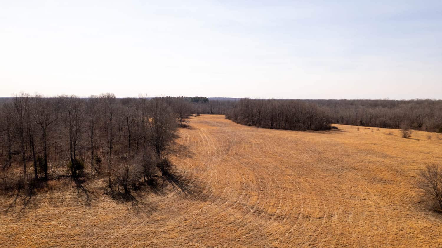 81 Acres in the Arkansas Ozarks