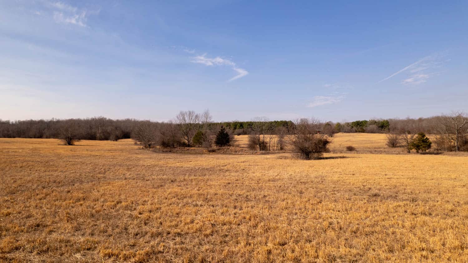 81 Acres in the Arkansas Ozarks