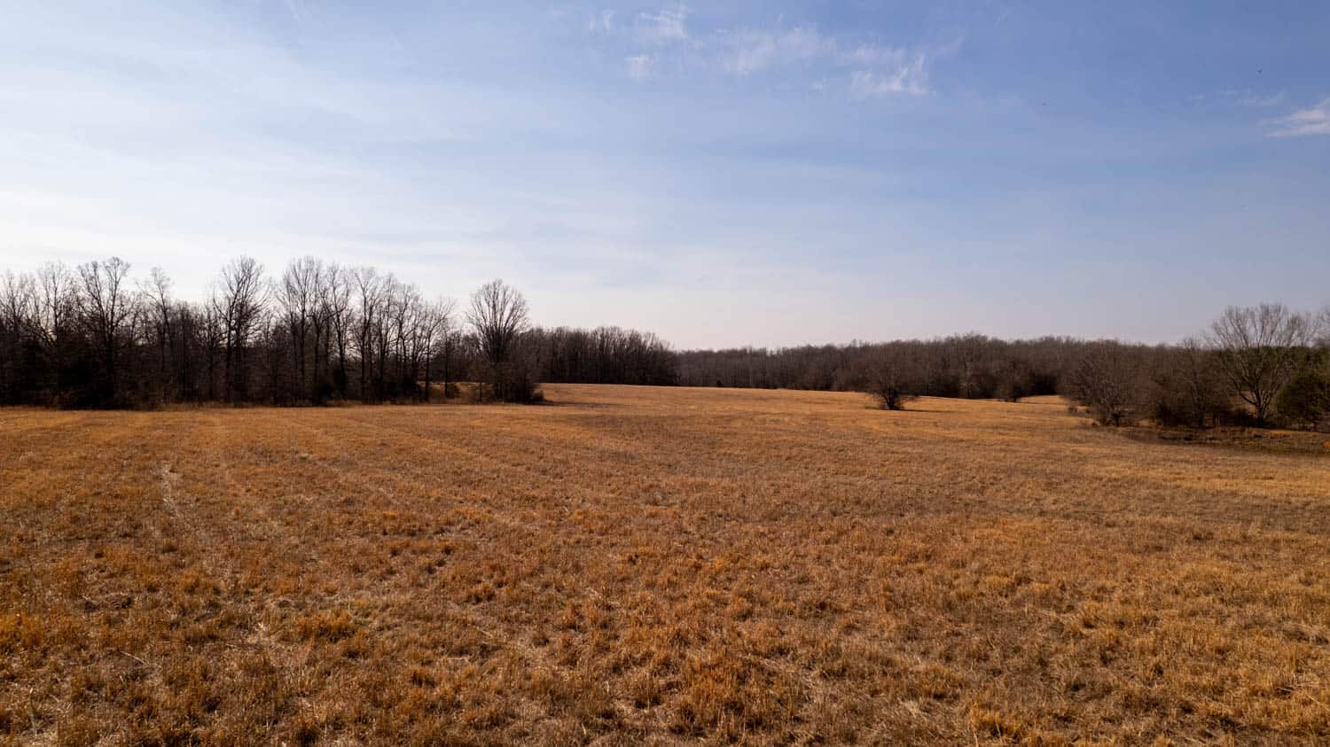 Prime Hunting Acreage in the Arkansas Ozarks