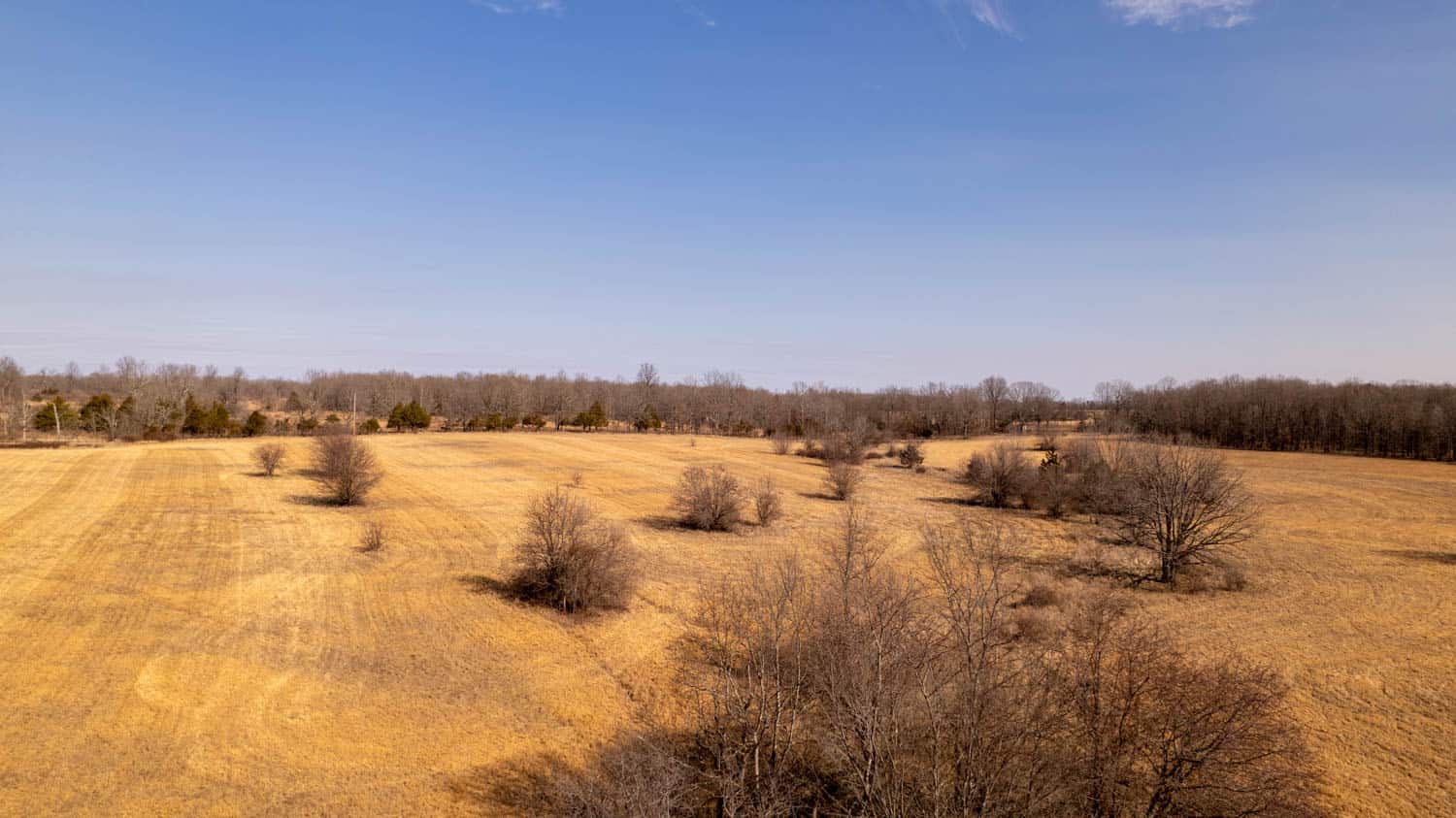 Prime Hunting Acreage in the Arkansas Ozarks