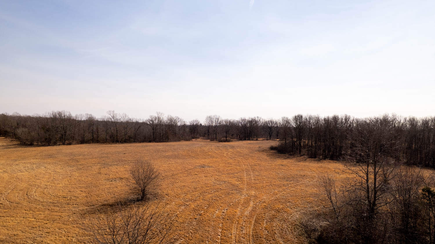 Prime Hunting Acreage in the Arkansas Ozarks
