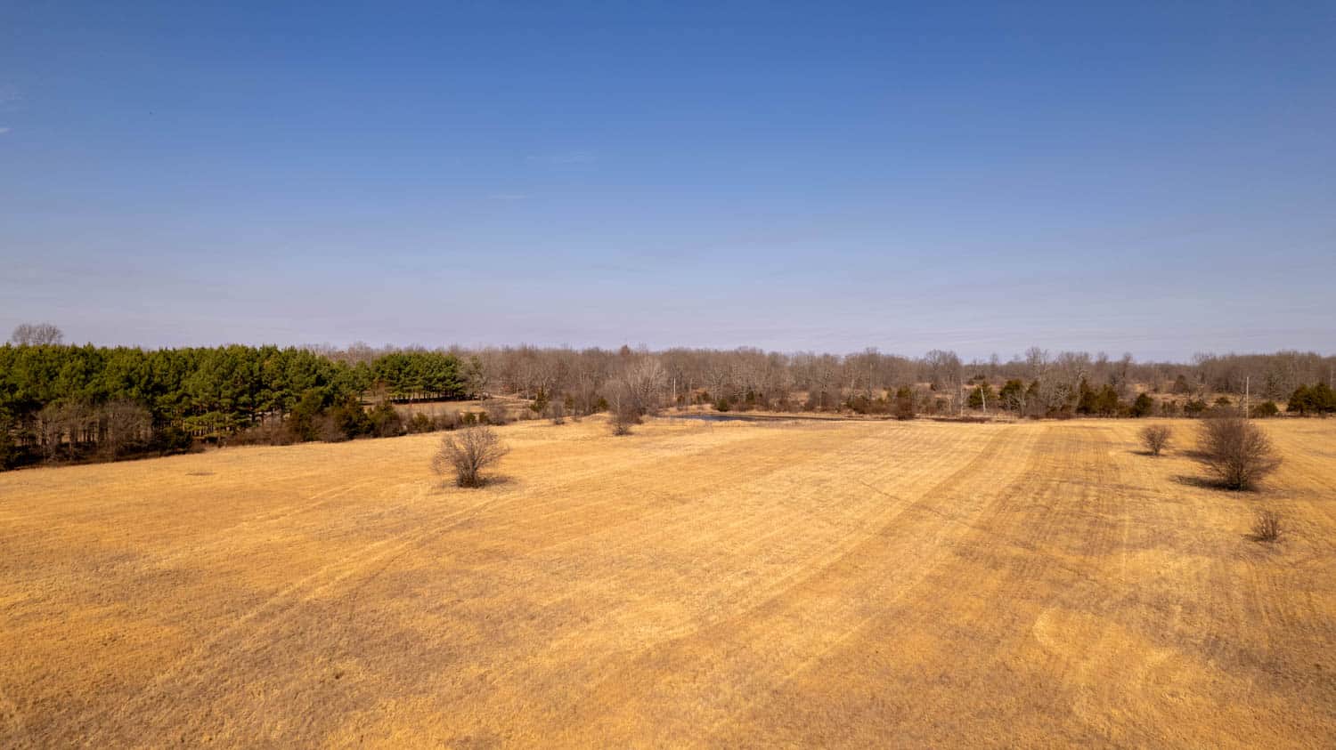Prime Hunting Acreage in the Arkansas Ozarks