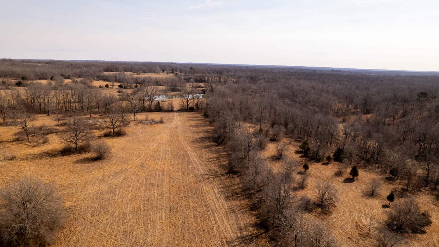 Prime Hunting Acreage in the Arkansas Ozarks