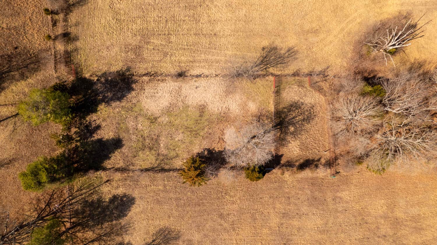 Prime Hunting Acreage in the Arkansas Ozarks