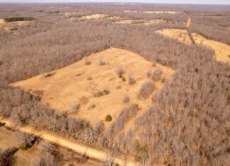 40 Acres in Mammoth Spring, Arkansas