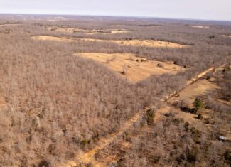 40 Acres in Mammoth Spring, Arkansas