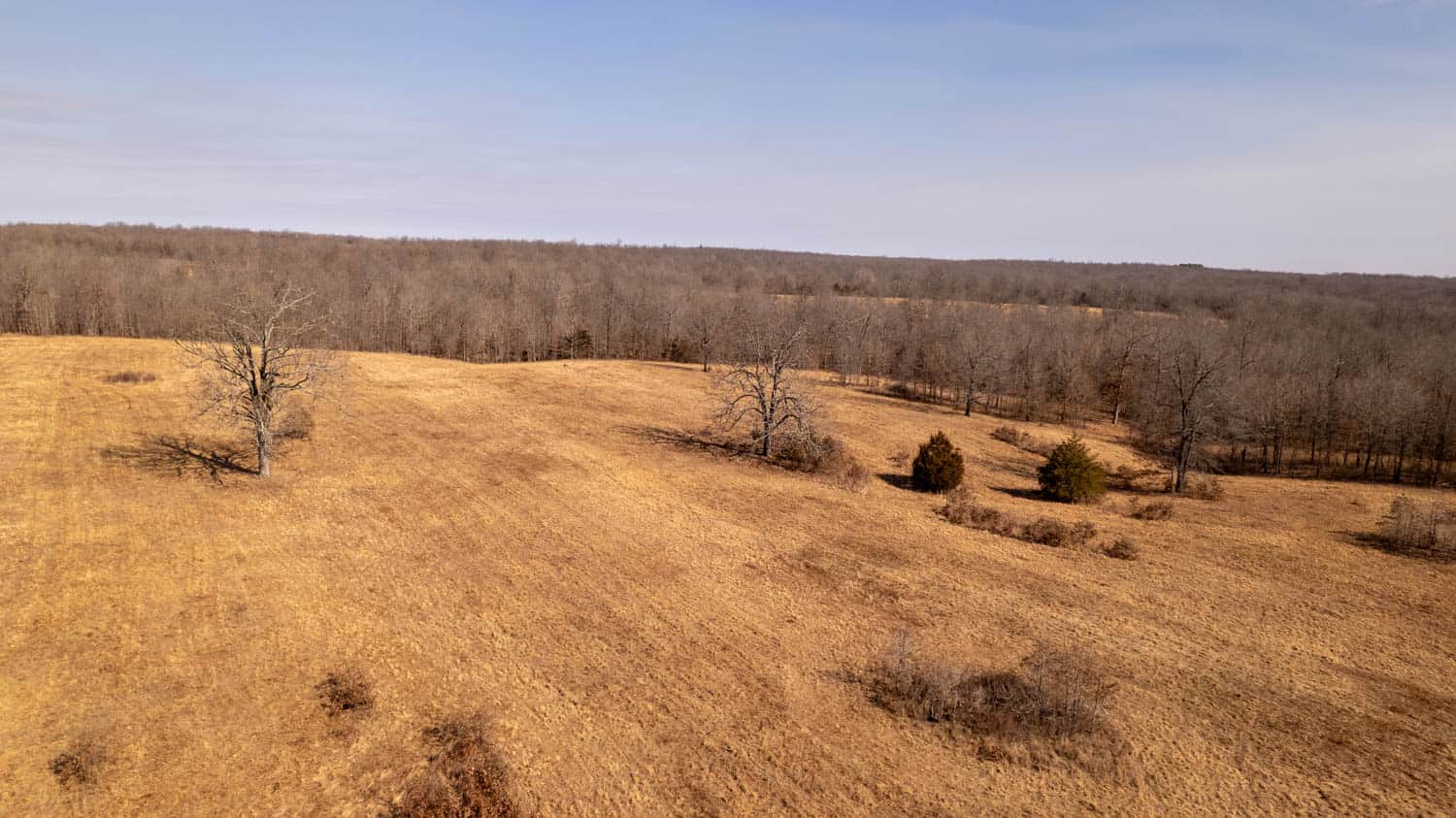 Prime Hunting Acreage in the Arkansas Ozarks