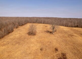 40 Acres in Mammoth Spring, Arkansas