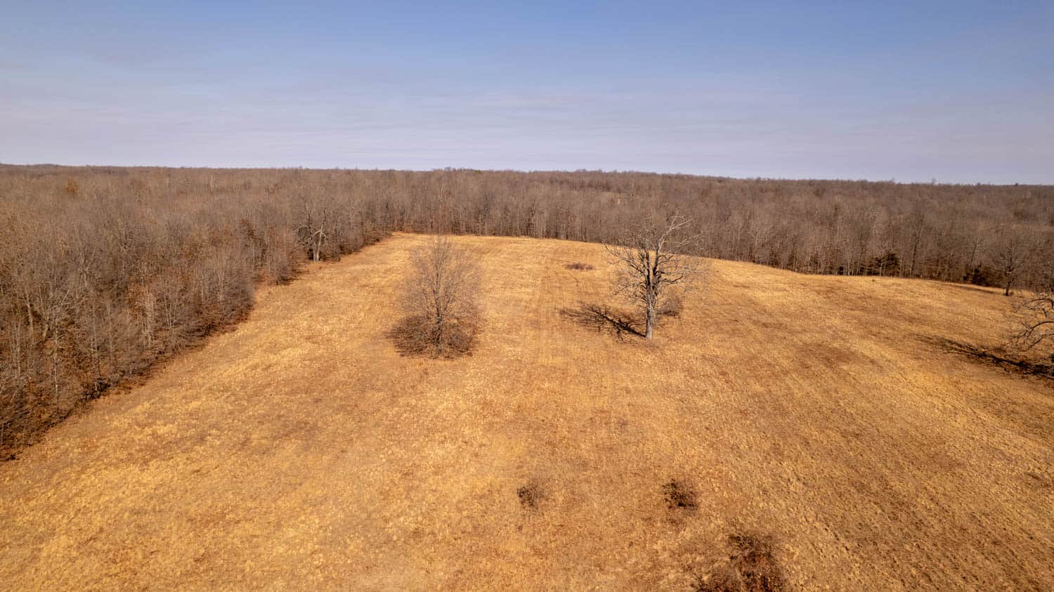 40 Acres in Mammoth Spring, Arkansas