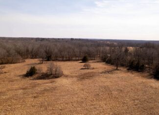 40 Acres in Mammoth Spring, Arkansas