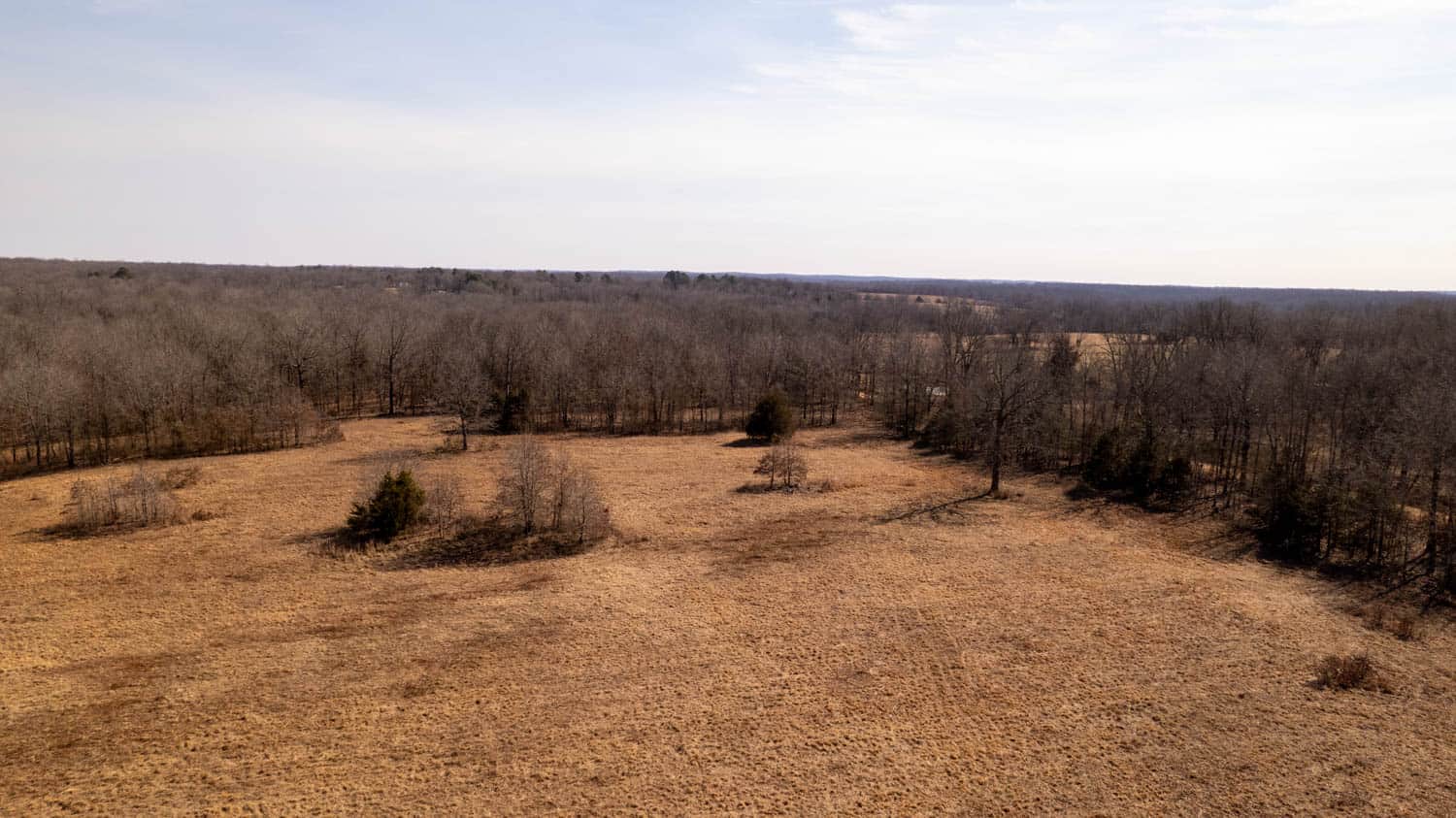 40 Acres in Mammoth Spring, Arkansas