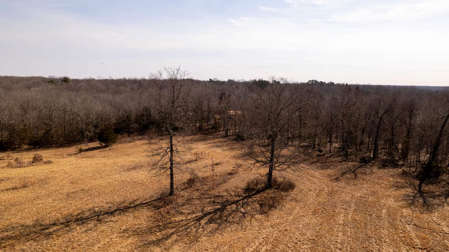 40 Acres in Mammoth Spring, Arkansas