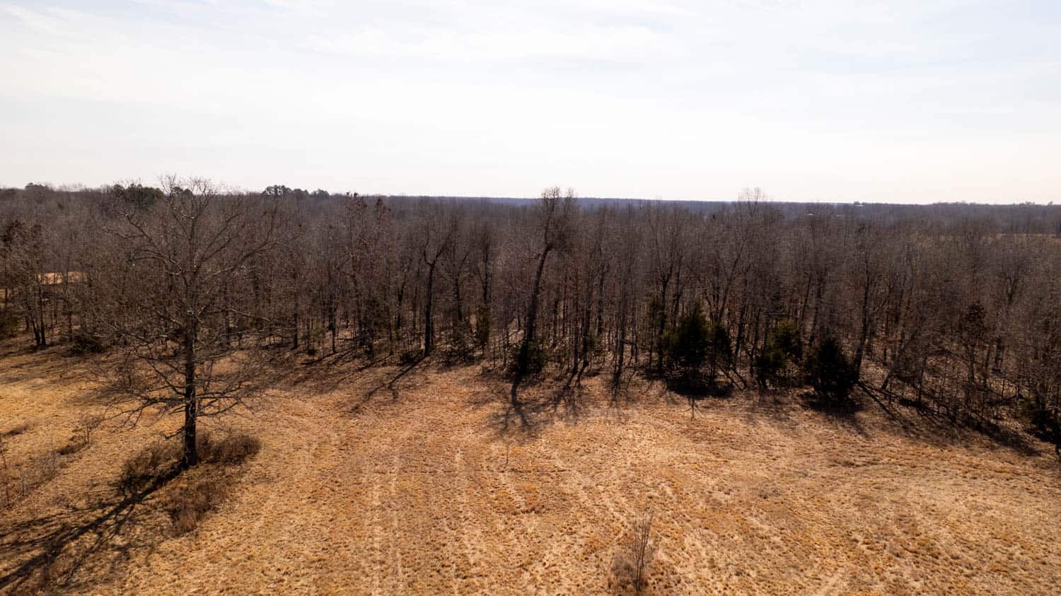 Prime Hunting Acreage in the Arkansas Ozarks
