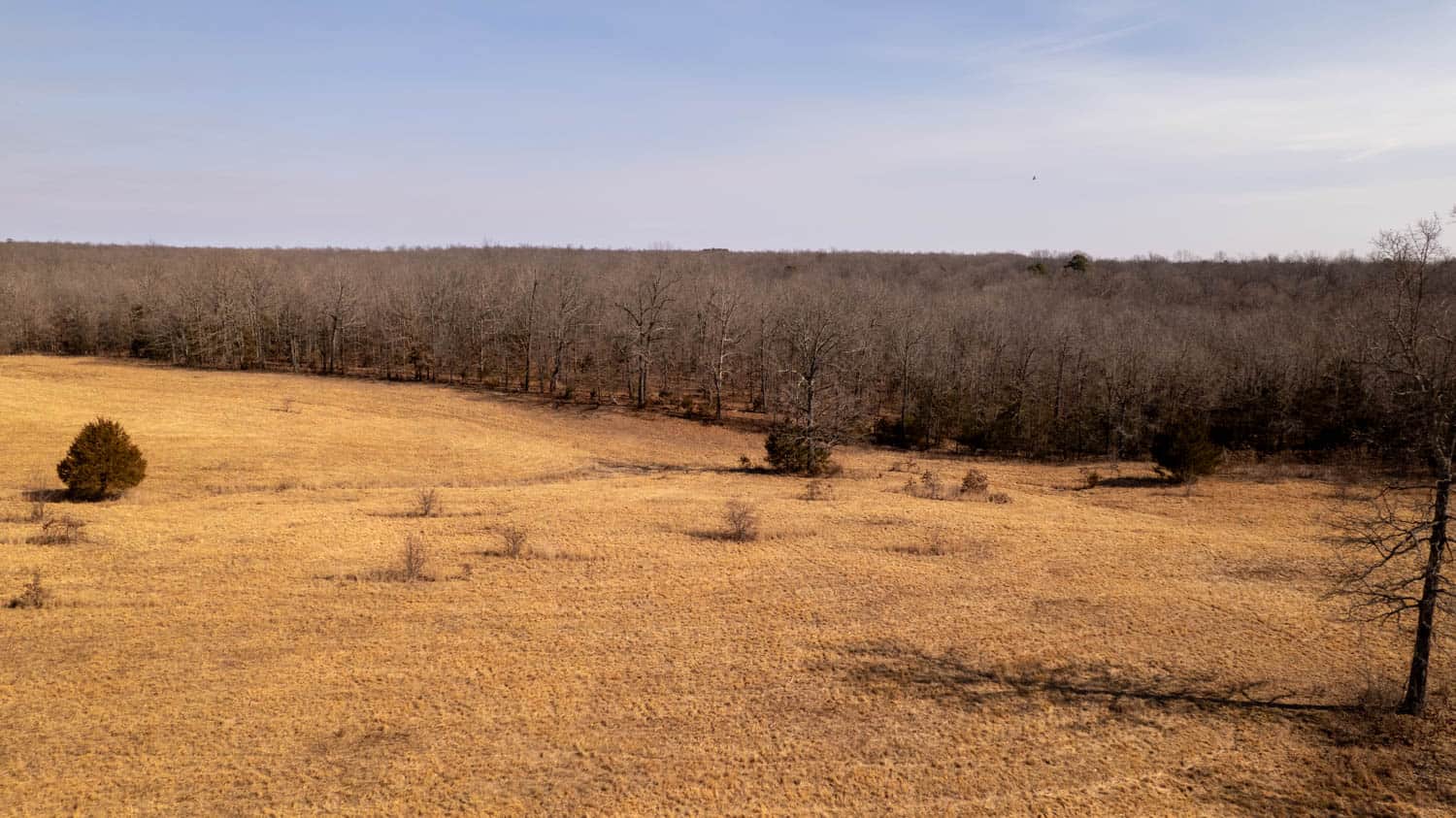 Prime Hunting Acreage in the Arkansas Ozarks