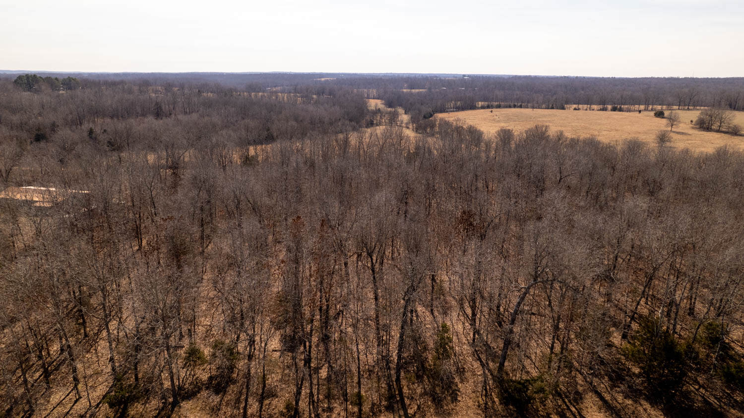 Prime Hunting Acreage in the Arkansas Ozarks