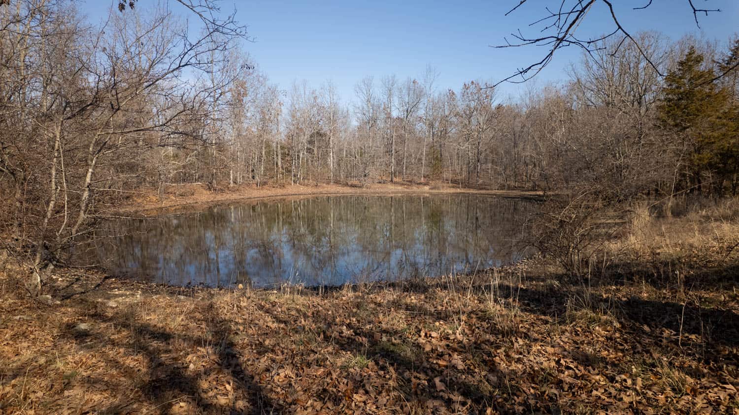 Prime Hunting Acreage in the Arkansas Ozarks
