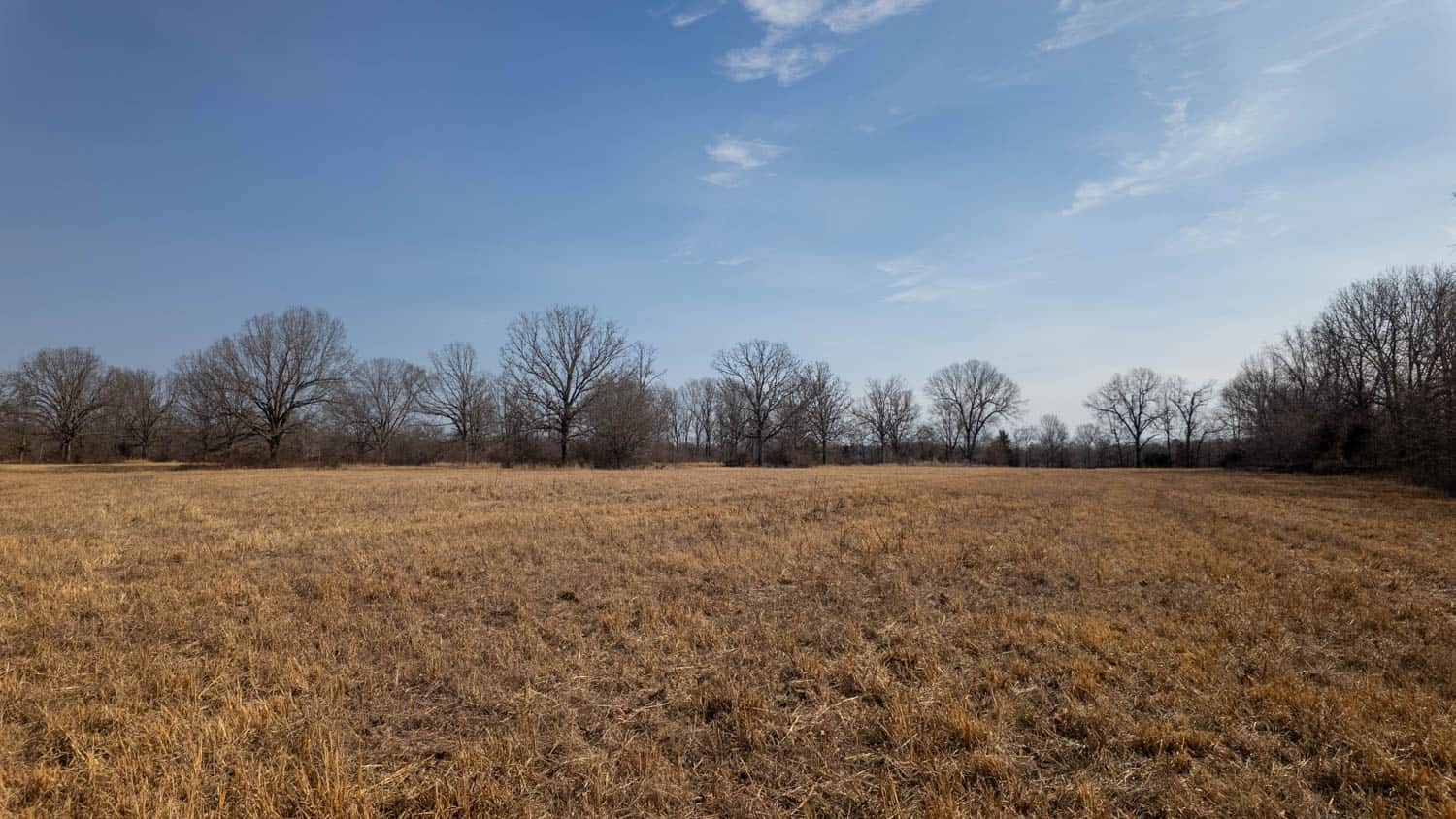 Prime Hunting Acreage in the Arkansas Ozarks