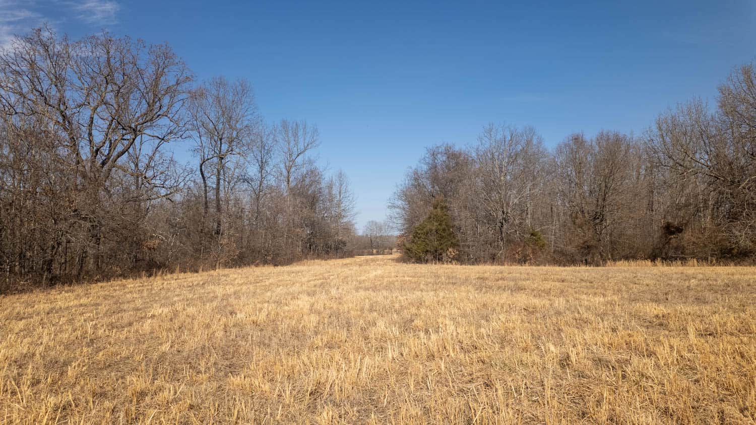 Prime Hunting Acreage in the Arkansas Ozarks