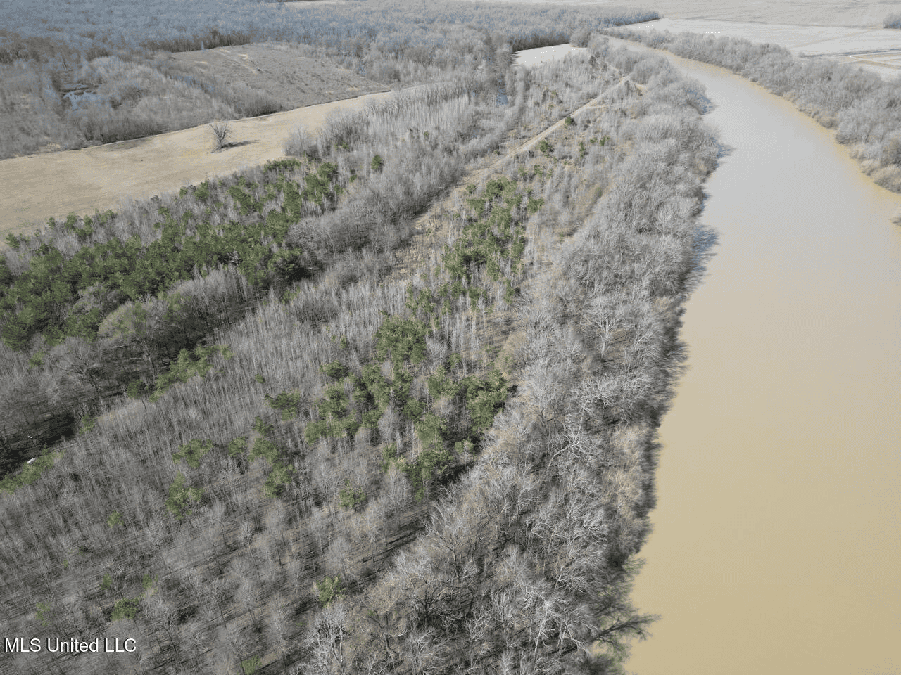 Tensas Riverfront Hunting Land Concordia Parish, LA