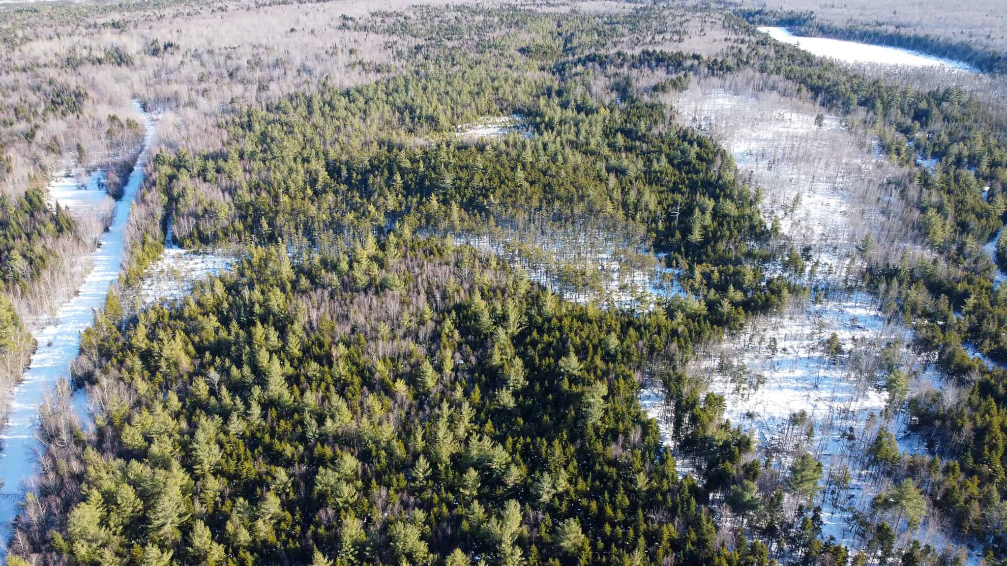 42.9 Acre Off-Grid Parcel – Prentiss, Maine
