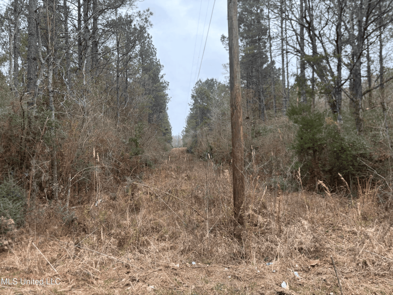18 Acre Homesite in Magnolia, MS, Pike County