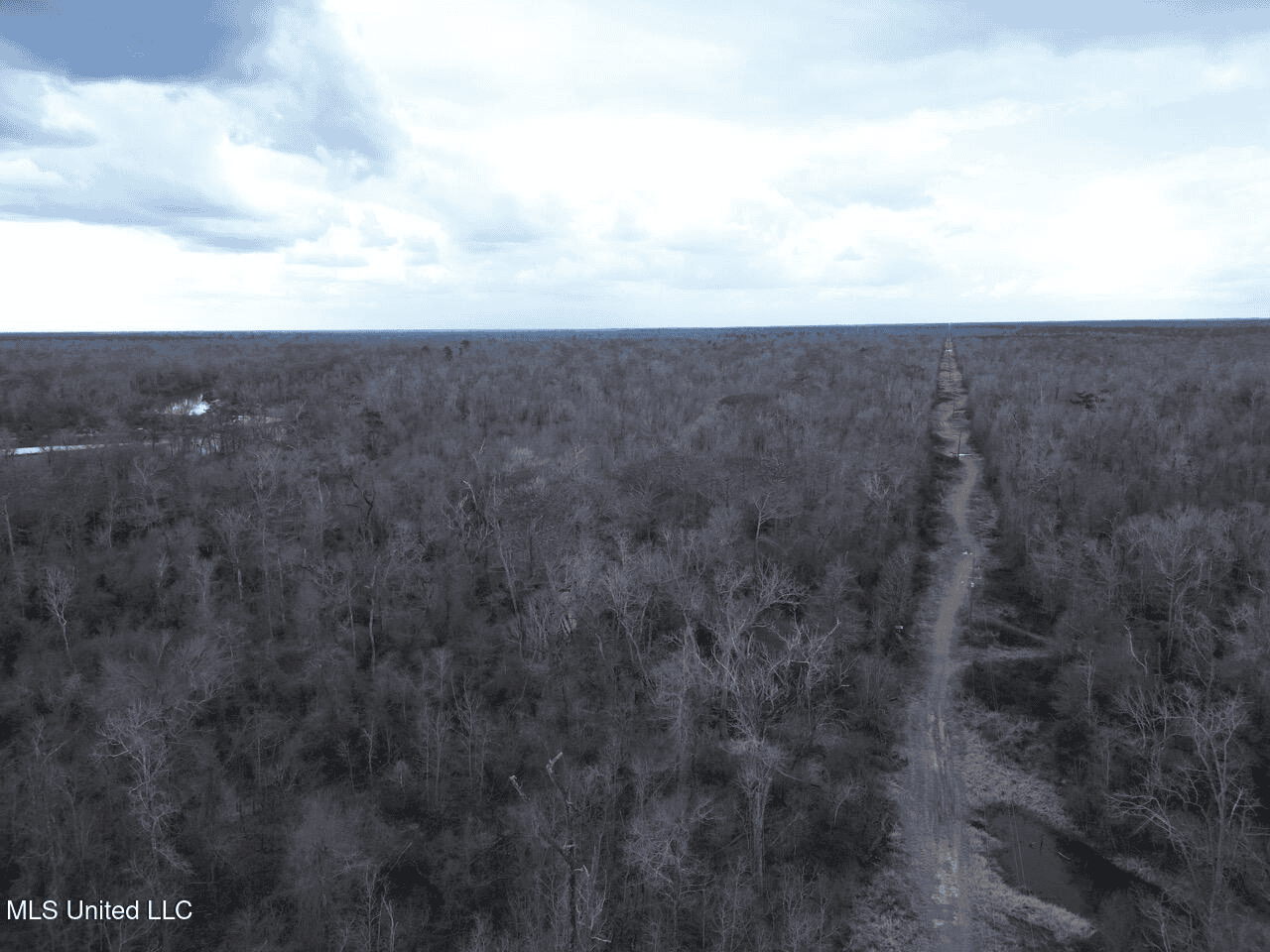 700 Acres in Allen Parish, Louisiana