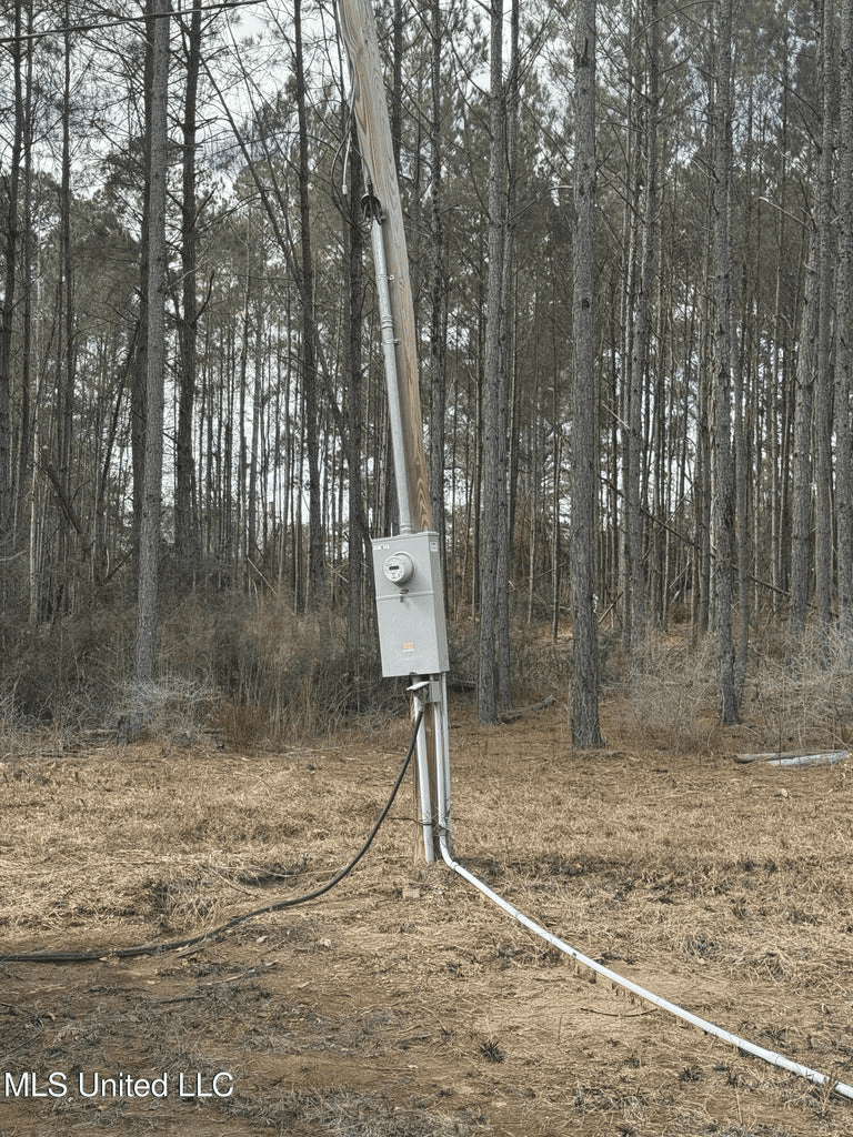 220 Acres South MS Hunting Tract with Camp/Homesite