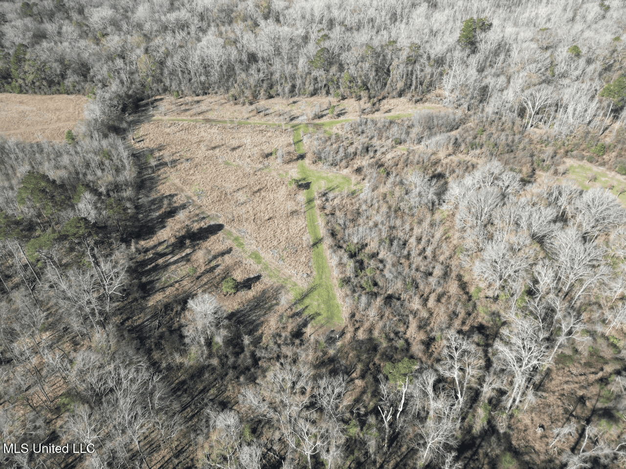 255 Acres East Baton Rouge Parish Near Zachary, LA