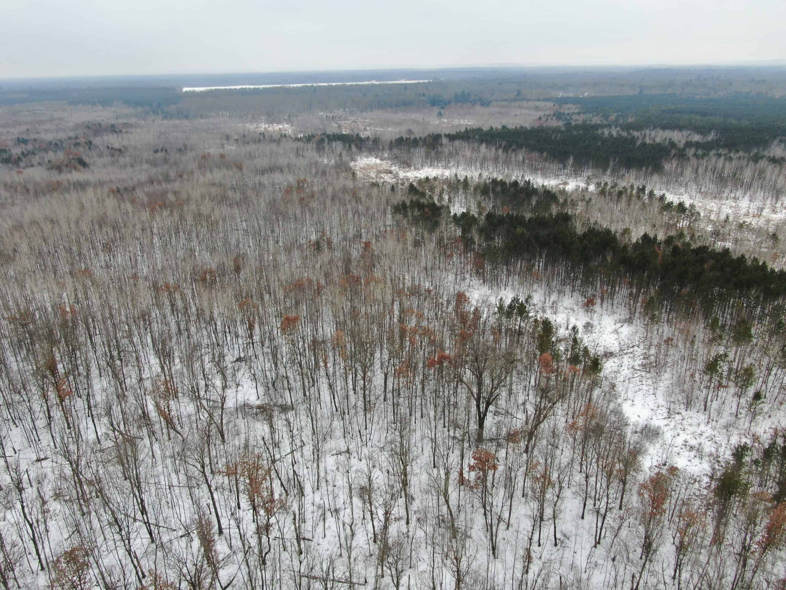 81.64± Acre Parcel in the Town of Clearfield, Juneau County