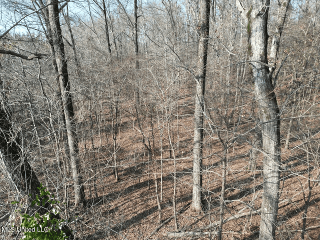 140 Acres with Farmhouse in Lorman, Mississippi