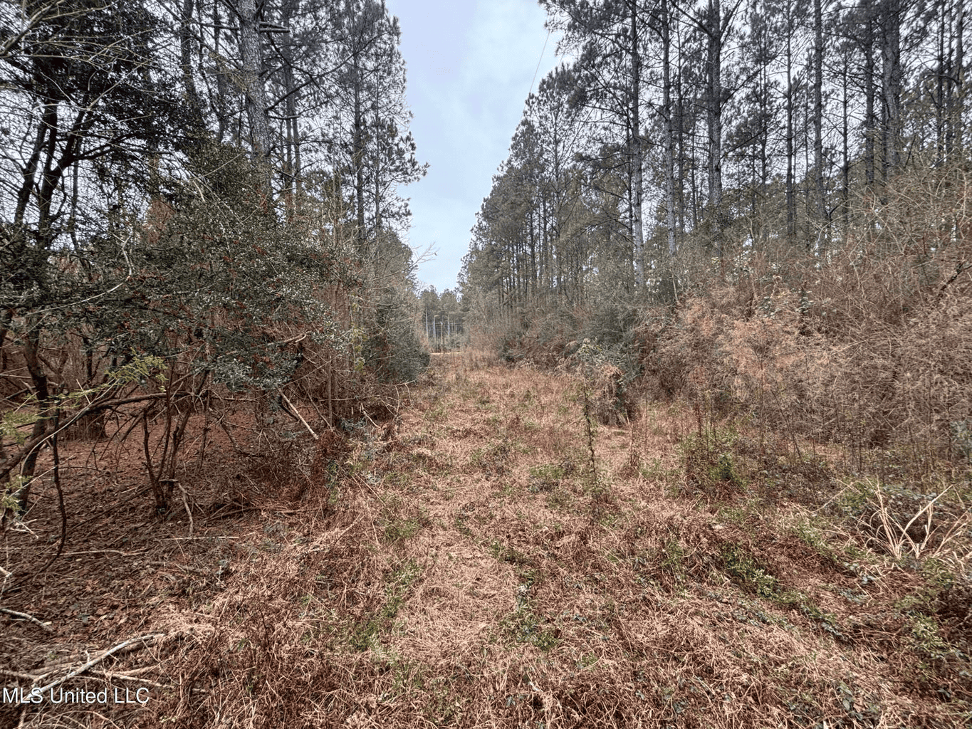 18 Acre Homesite in Magnolia, MS, Pike County