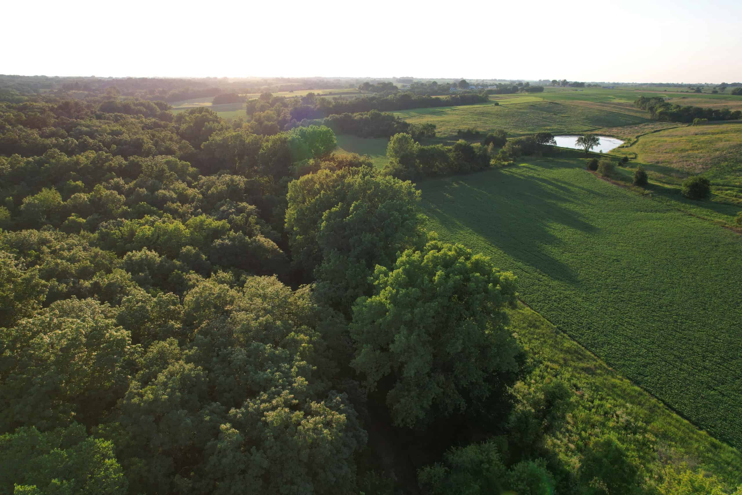 Southern Iowa Combination Hunting Tract