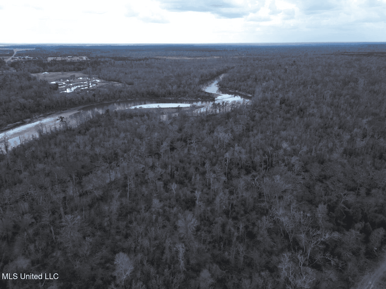 700 Acres in Allen Parish, Louisiana