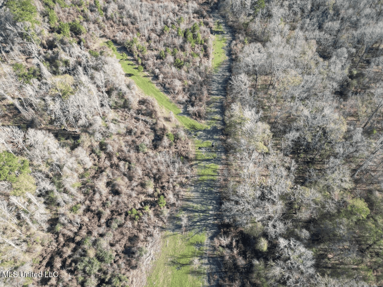 255 Acres East Baton Rouge Parish Near Zachary, LA