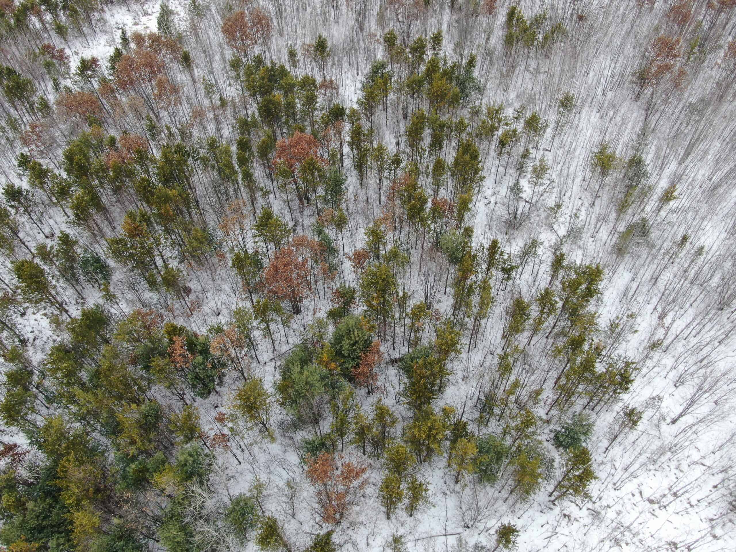 120± Acre Property in the Town of Clearfield, Juneau County