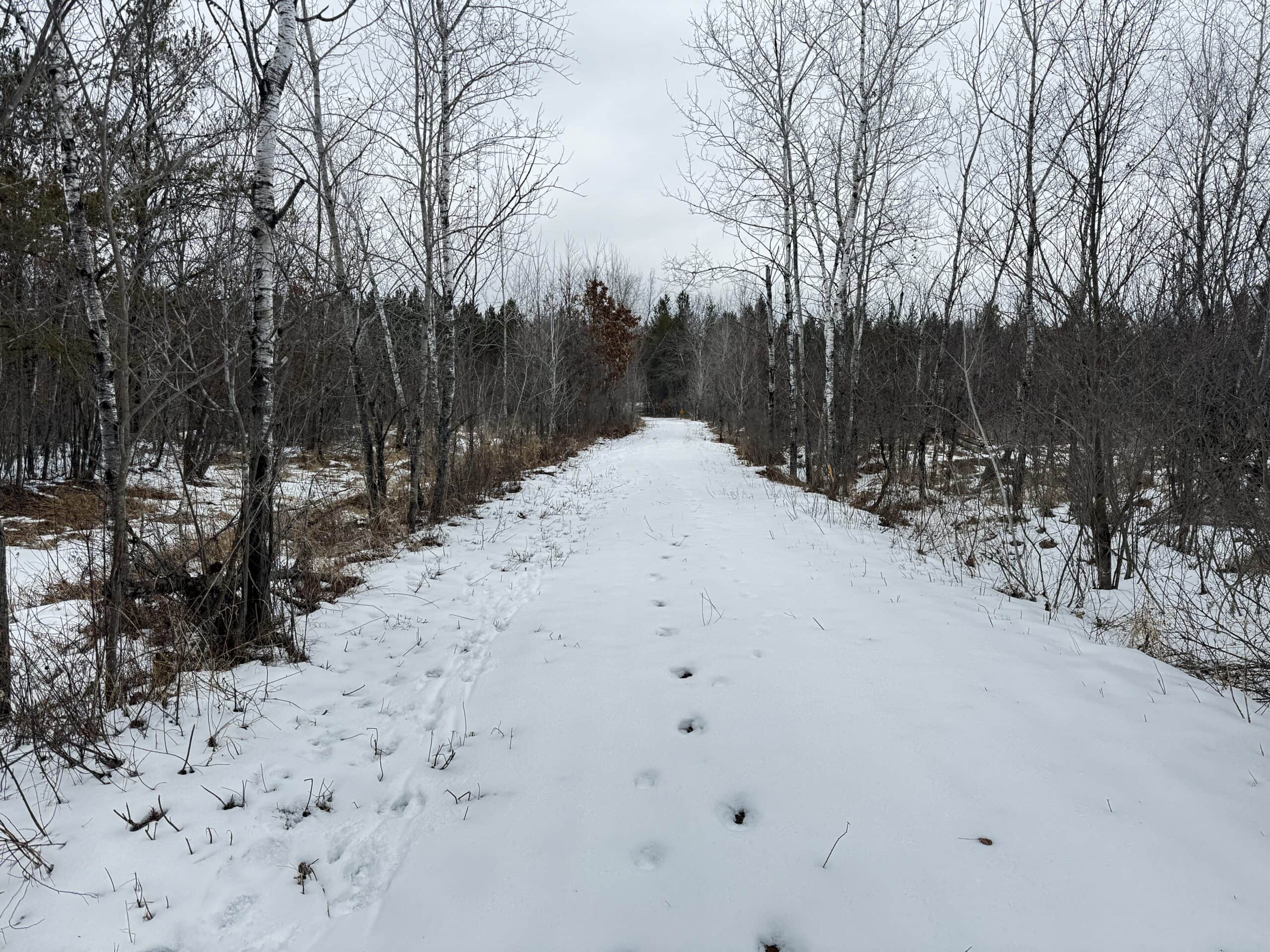 120± acre tract in the Town of Clearfield, Juneau County