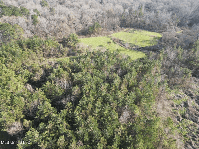 140 Acres with Farmhouse in Lorman, Mississippi