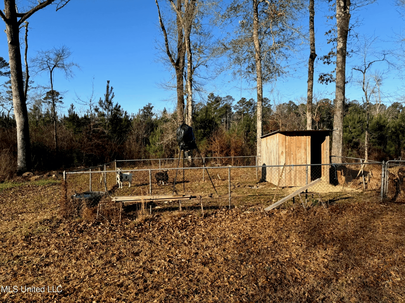 South MS Camp and Land Bordering the National Forest