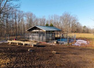 Beautiful Acreage in the Heart of the Missouri Ozarks | Alton