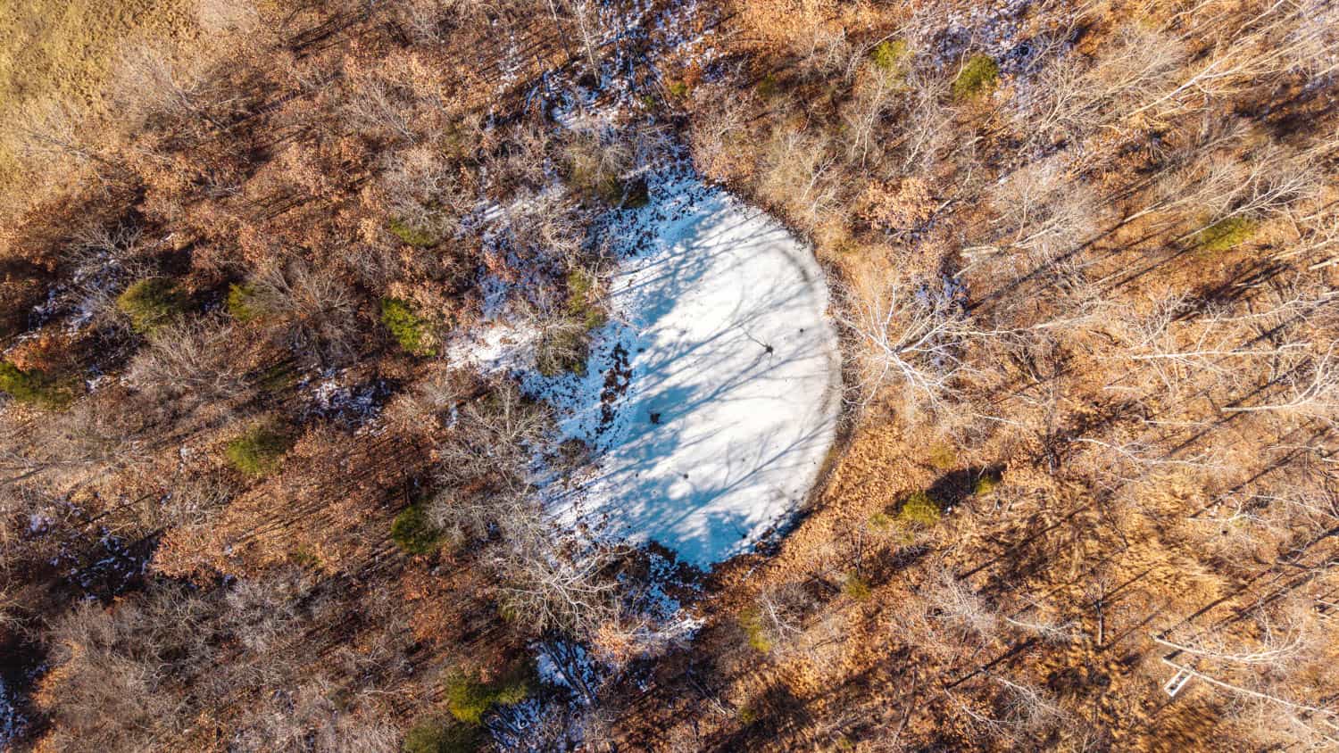 Beautiful Acreage in the Heart of the Missouri Ozarks | Alton