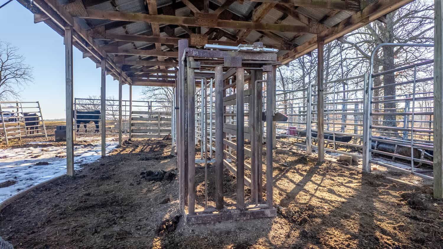 Beautiful Acreage in the Heart of the Missouri Ozarks | Alton
