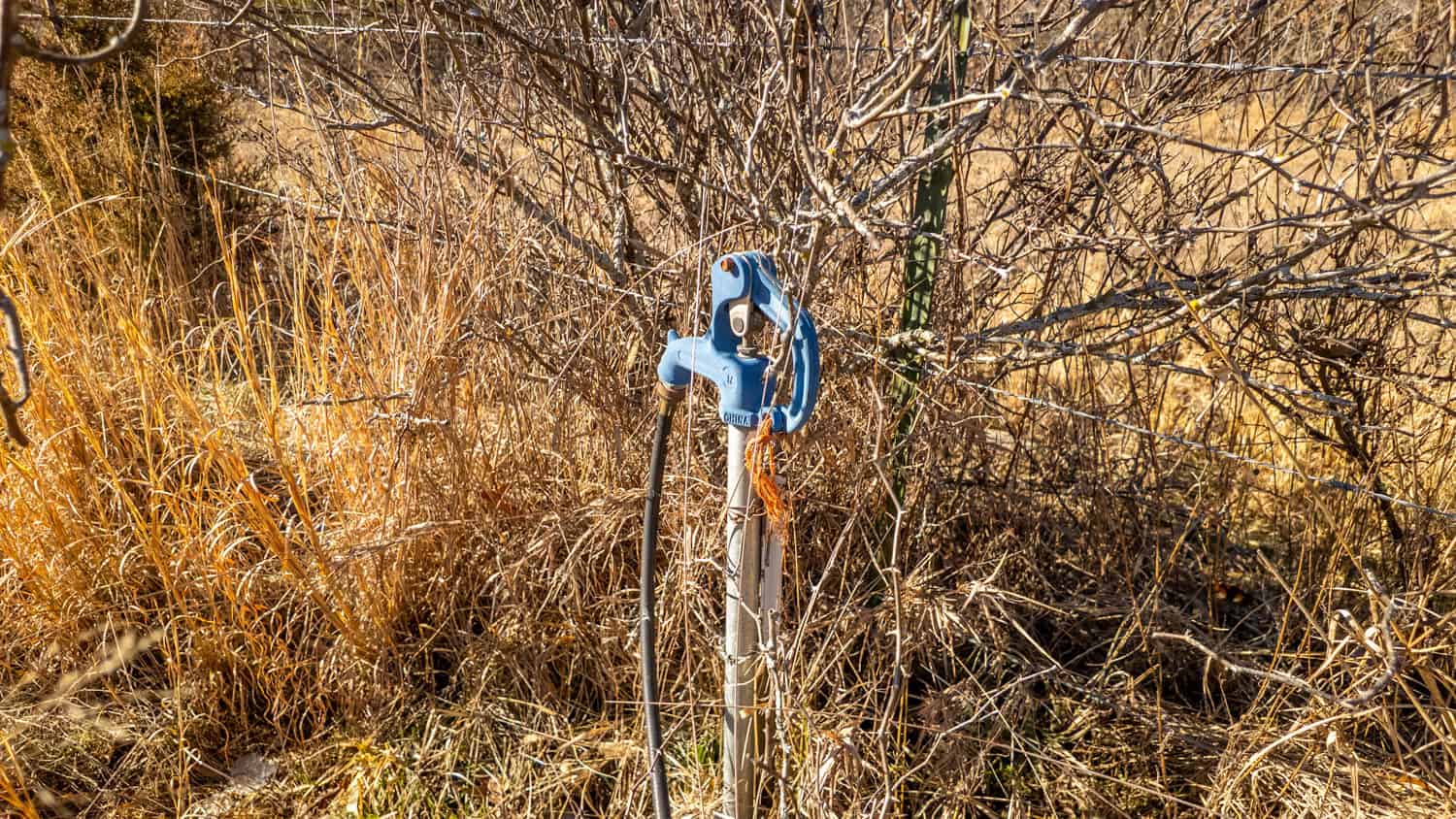 Beautiful Acreage in the Heart of the Missouri Ozarks | Alton