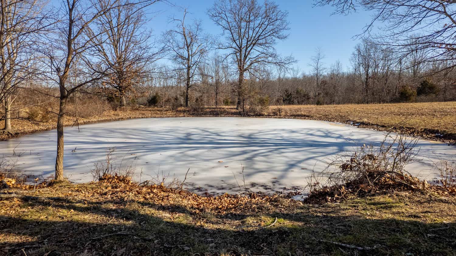 Beautiful Acreage in the Heart of the Missouri Ozarks | Alton