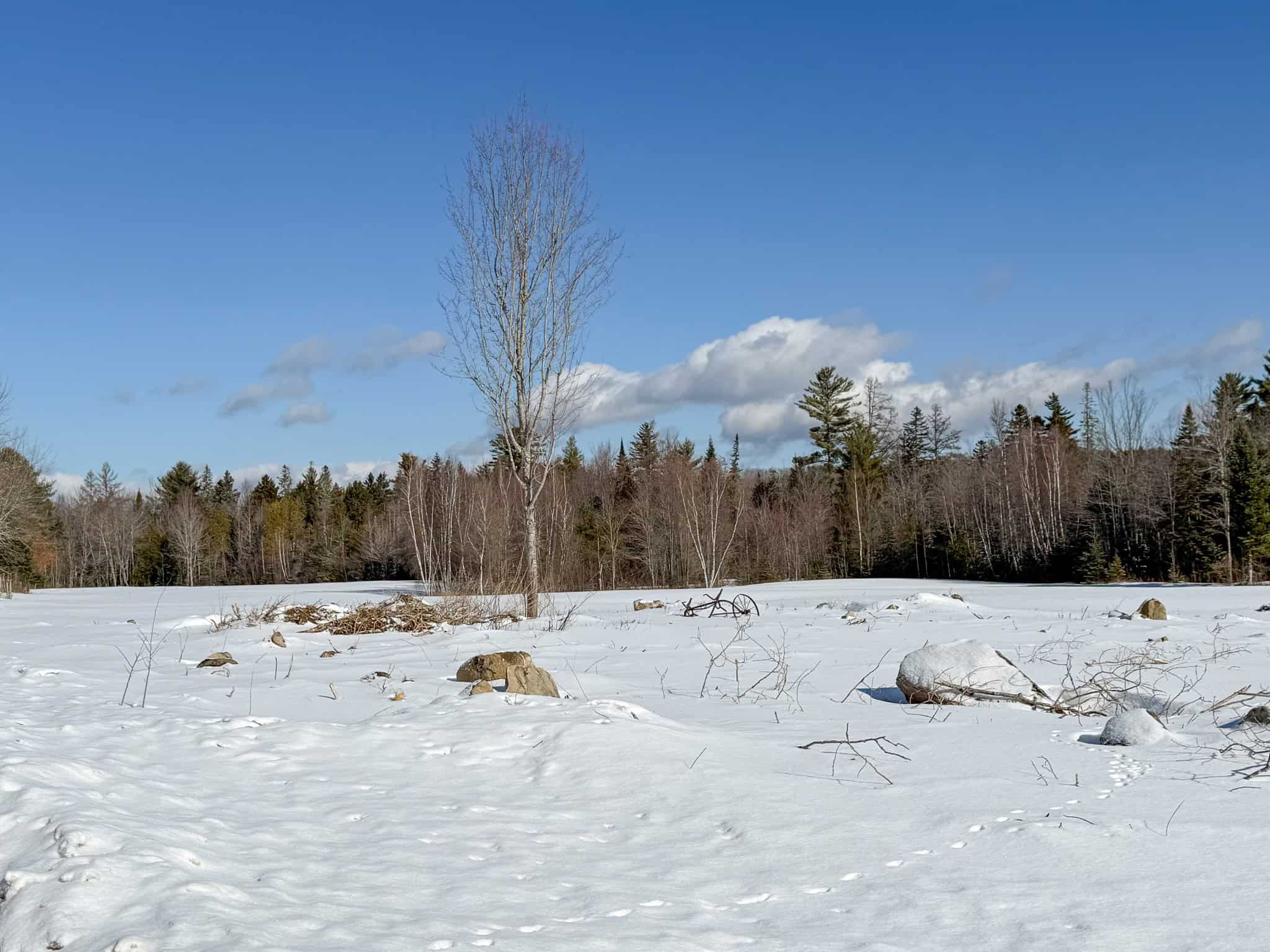 62± Acres with Over a Mile River Frontage in Maine’s North Woods